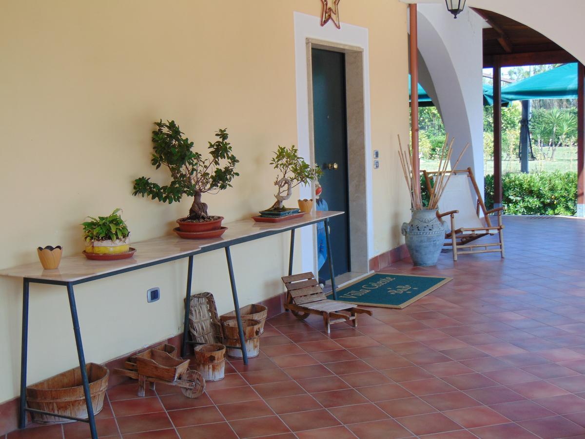 Villa Celeste B&B Pontecagnano Exterior photo